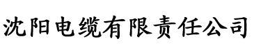 亚洲一区三区四区二区四区电缆厂logo